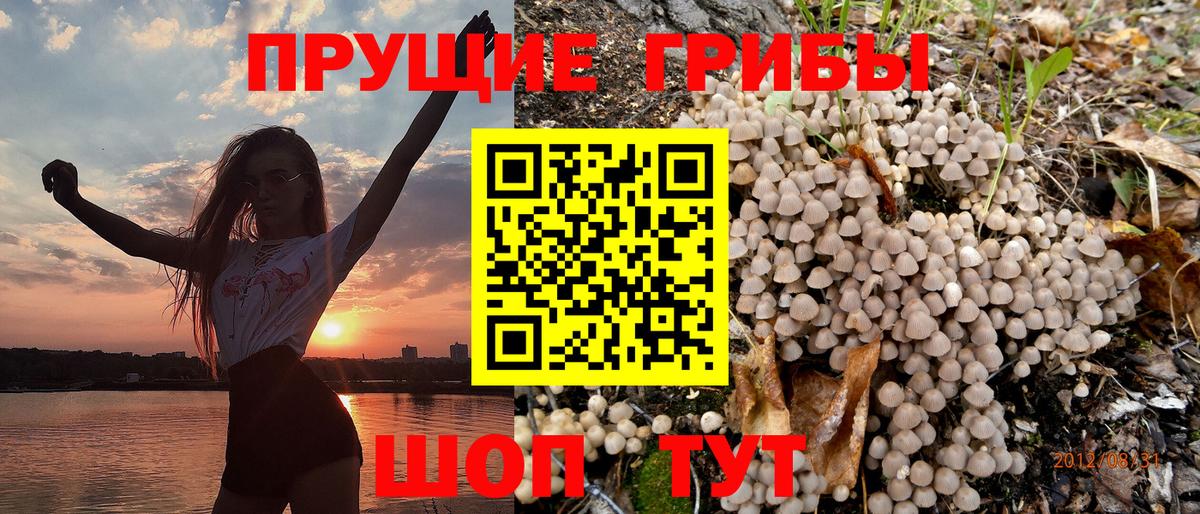 Новосибирск  Галлюциногенные грибы Psilocybine cubensis  Галлюциногенные грибы мицелий  Вход с VPN 